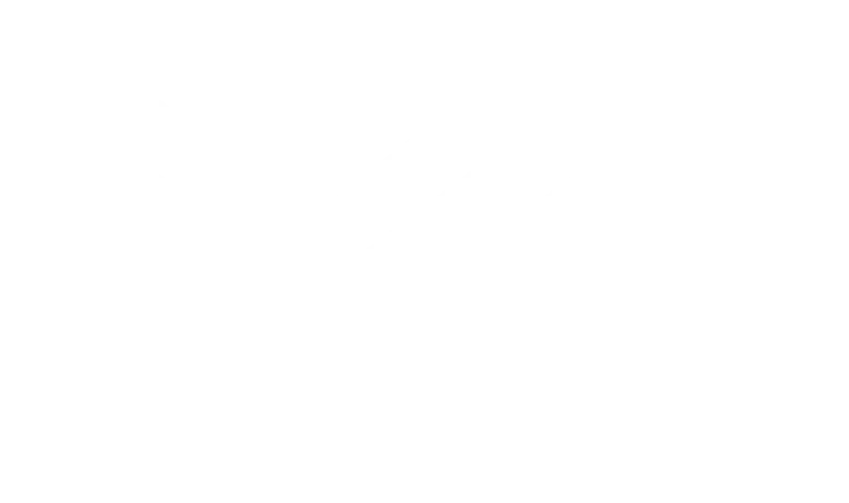 MZ Ride